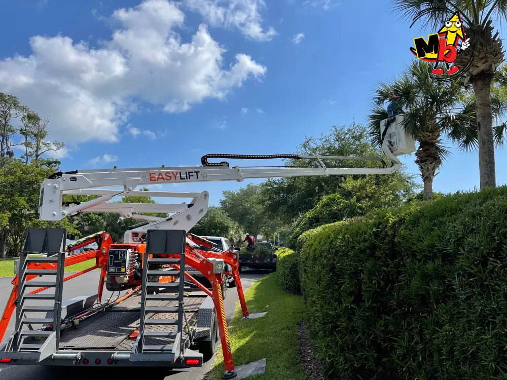 Plataforma elevadora araña Easy Lift R190 de 19 metros profesional