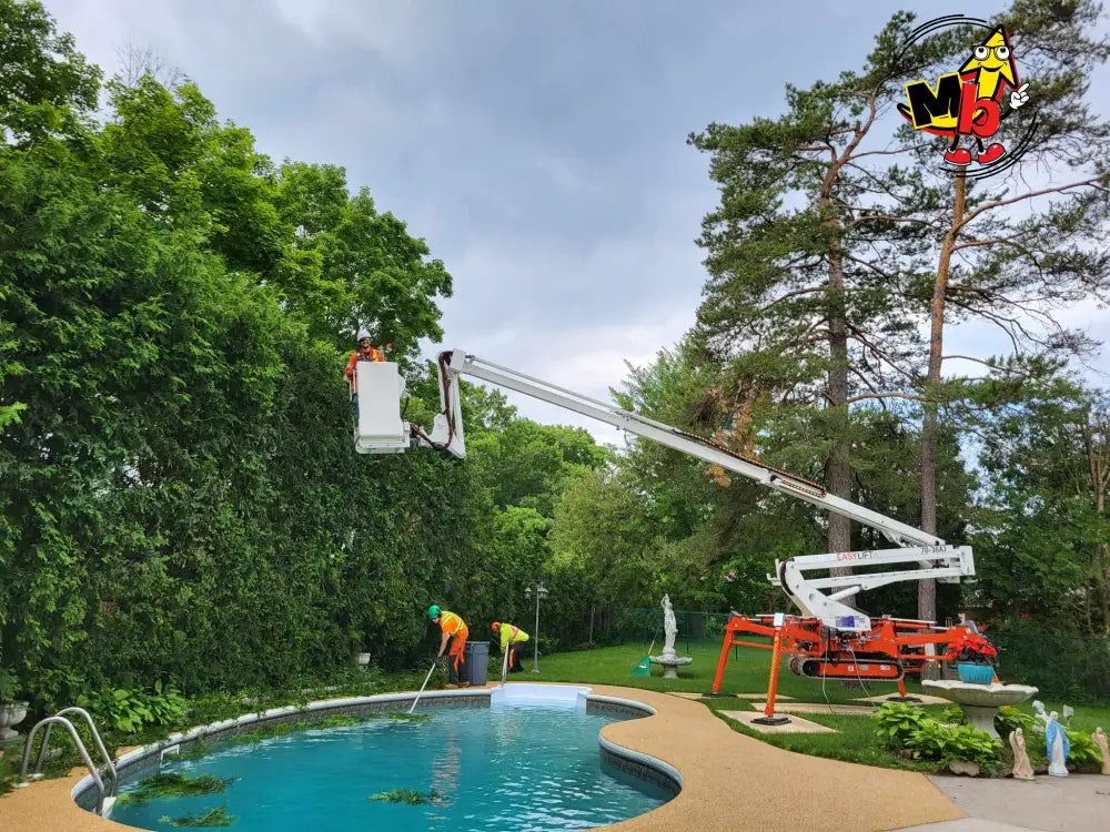 Araña EasyLift R210 Plataforma para jardineros