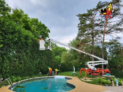 Araña EasyLift R210 Plataforma para jardineros