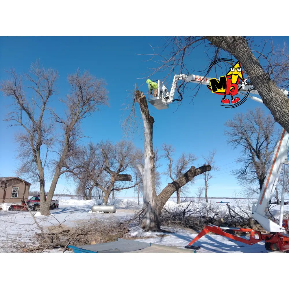 Araña EasyLift RA26 Plataformas Elevadoras Nuevas