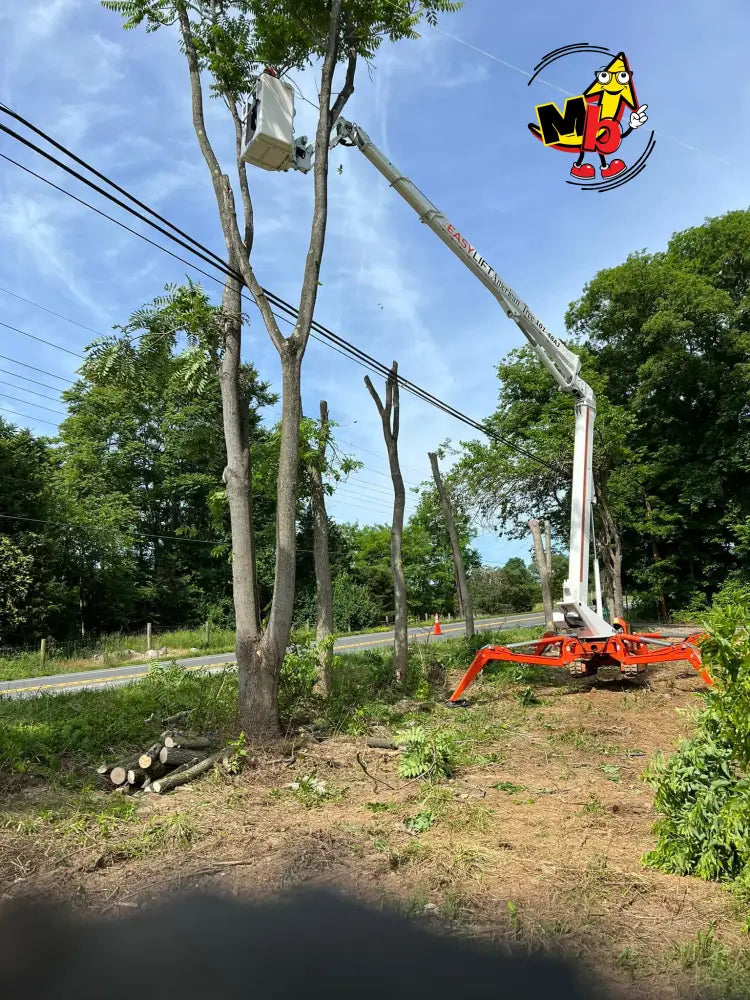 Araña EasyLift RA31 Plataformas Elevadoras Nuevas