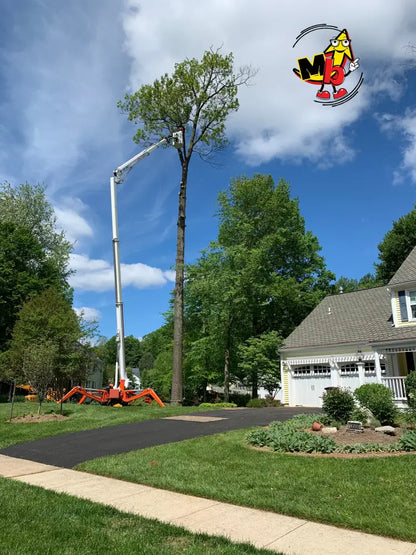 Araña EasyLift RA31 Plataformas Elevadoras Nuevas