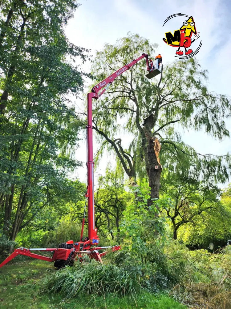 Araña EasyLift RA31 Plataformas Elevadoras Nuevas